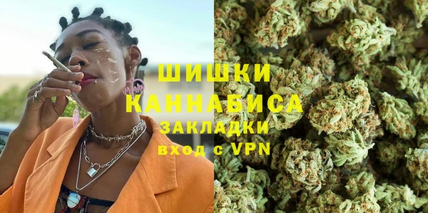 Альфа ПВП Верея