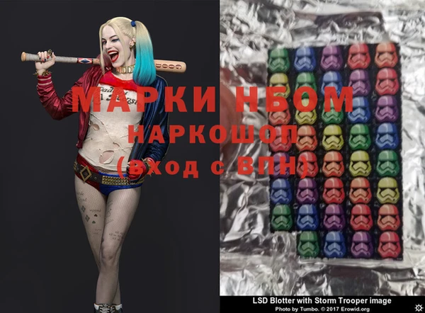 ПСИЛОЦИБИНОВЫЕ ГРИБЫ Верхний Тагил